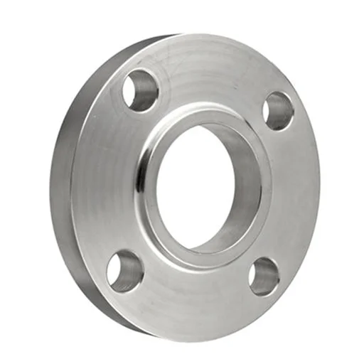 SS 304L Lap Joint Flanges